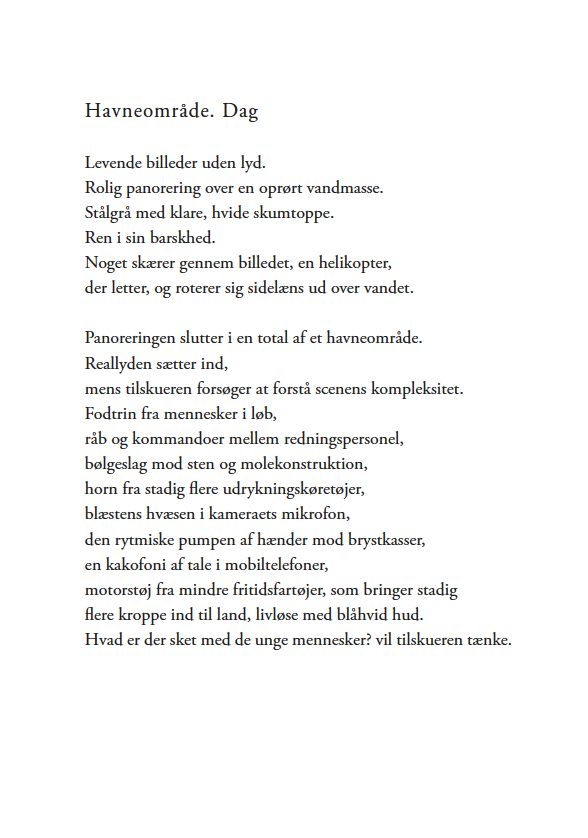 Anja_Hitz_den_dag_vi_døde_Roman_for_Teenagere_om_Efterskole_Ulykker_ Kærlighed_ Sex_ Traumer_2